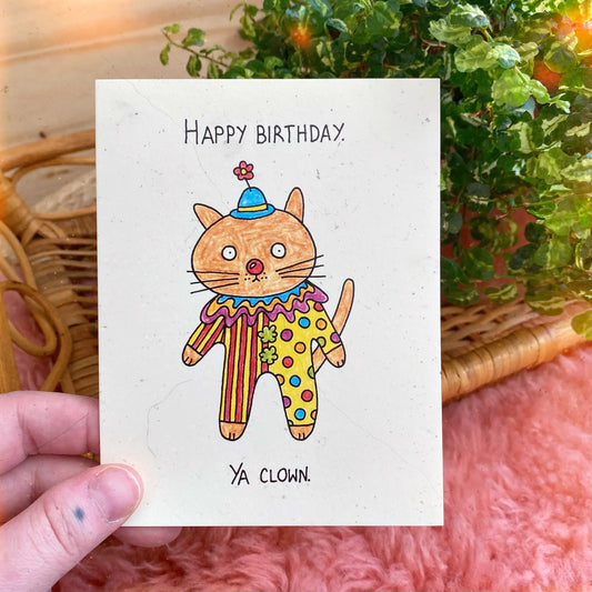 Birthday Clown Cat